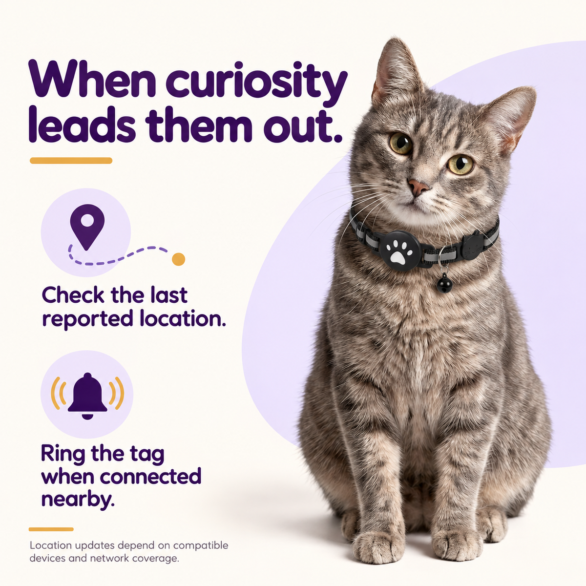 Cat Tracker Collar