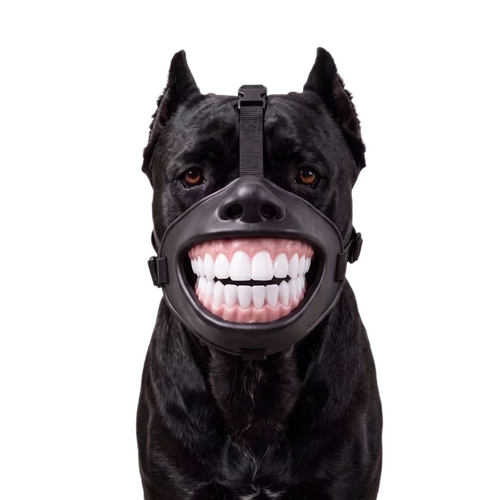 Funny Grinning Teeth Dog Muzzle | Halloween Pet Costume Accessory